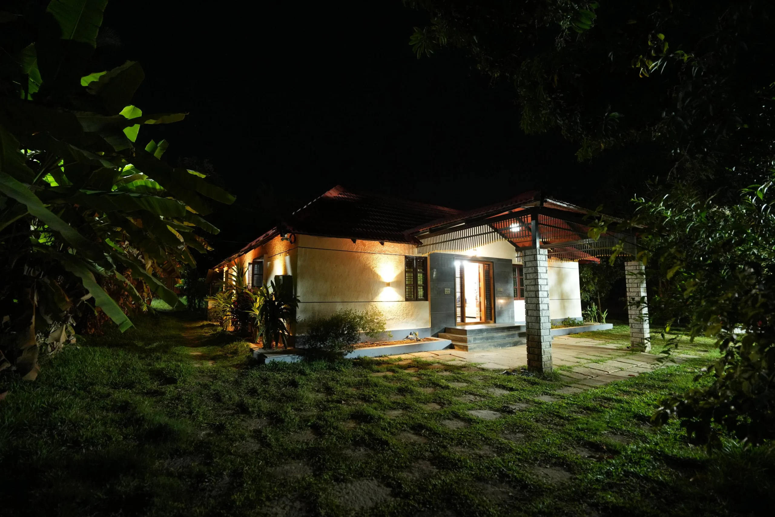 Night View
