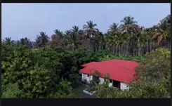 Drone View