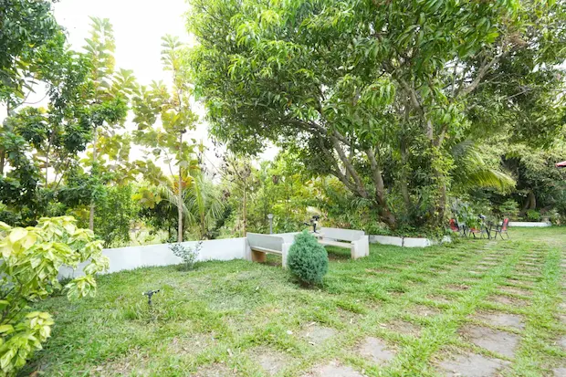 Lawn Area
